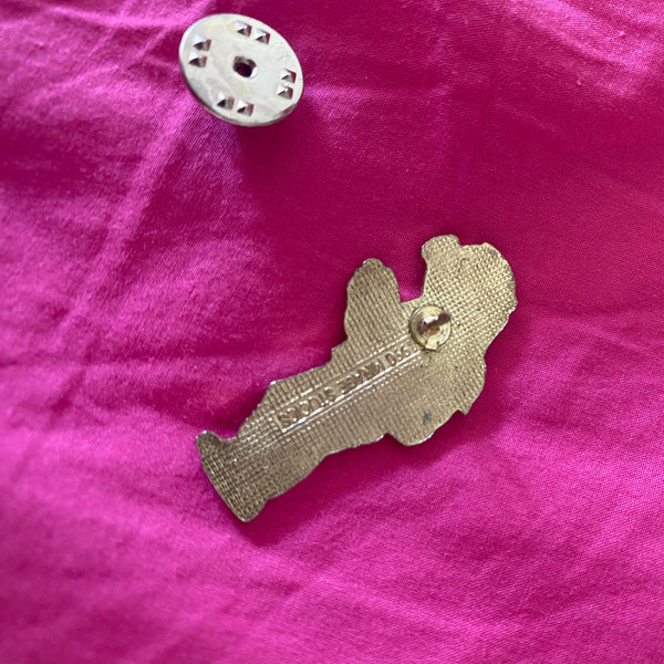 Vtg Ninja Turtles Pin